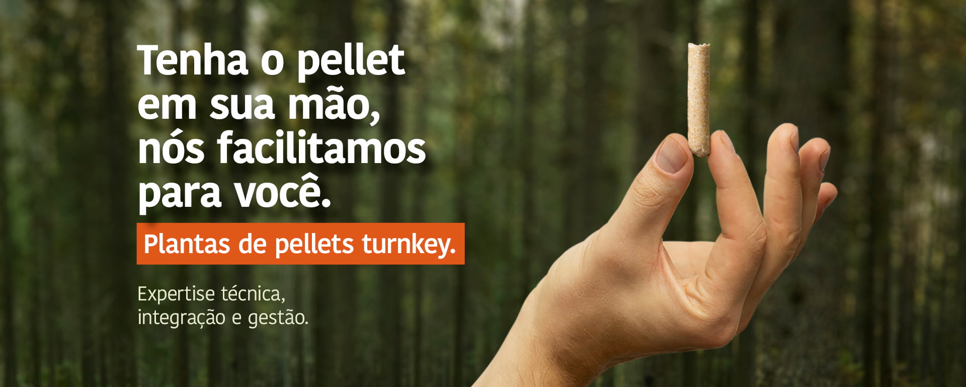 Tenha o pellet em sua mão, nós facilitamos para você. Plantas de pellets turnkey. Expertise técnica, integração e gestão.